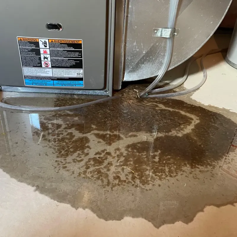 Appliance Leak Cleanup in Dana, NC